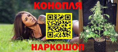 эйфоретик Обь